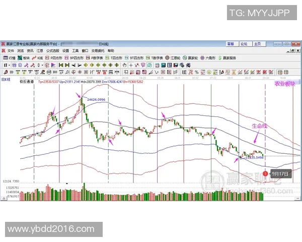 重庆羽毛球队防反战术解析与热点动态全景解读